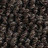 001|Brown,Bronze|1 castoro