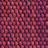 012|Pink,Fuchsia|12 rose indien