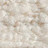 001|Ivory|1 avorio