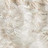 001|Ivory|1 avorio