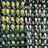 002|Green|2 greenwood
