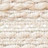 002|Ivory|2 conchiglia