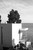 009|Grey
