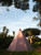 024|Pink,Fuchsia