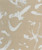 001|White, Ivory