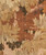 002|Yellow, Brown,Bronze