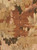 002|Yellow, Brown,Bronze