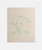001|Ivory, Green