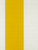 180|Yellow