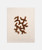 001|Ivory, Linen,Beige, Brown,Bronze