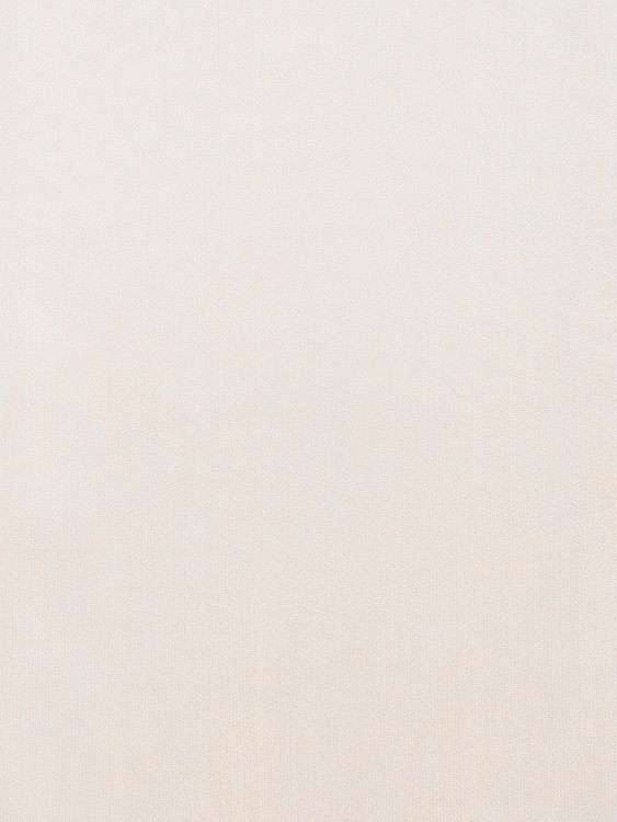 029|White