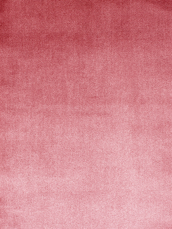147|Pink,Fuchsia