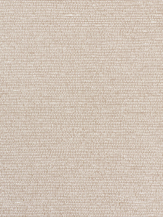 002|Ivory