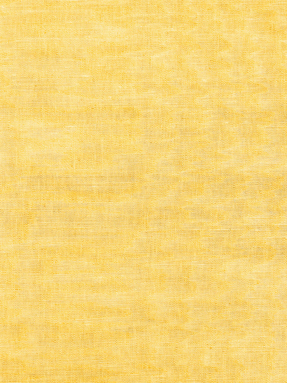 011|Yellow