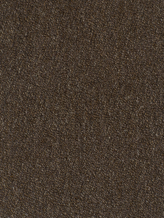 006|Brown,Bronze
