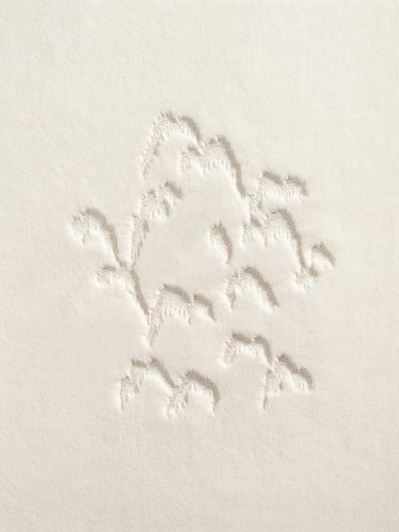 003|Ivory