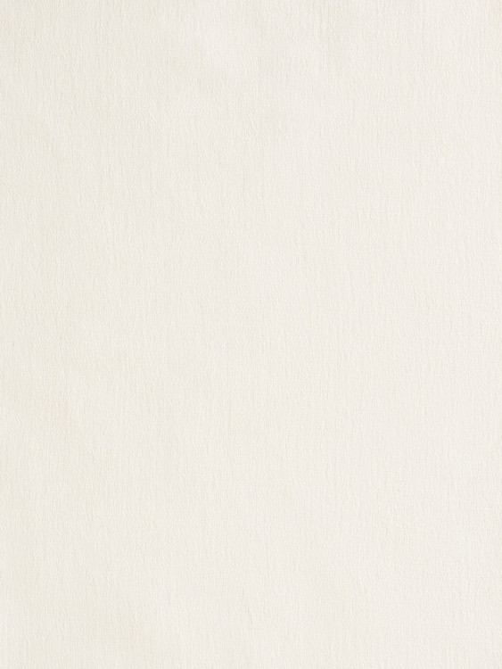 002|Ivory