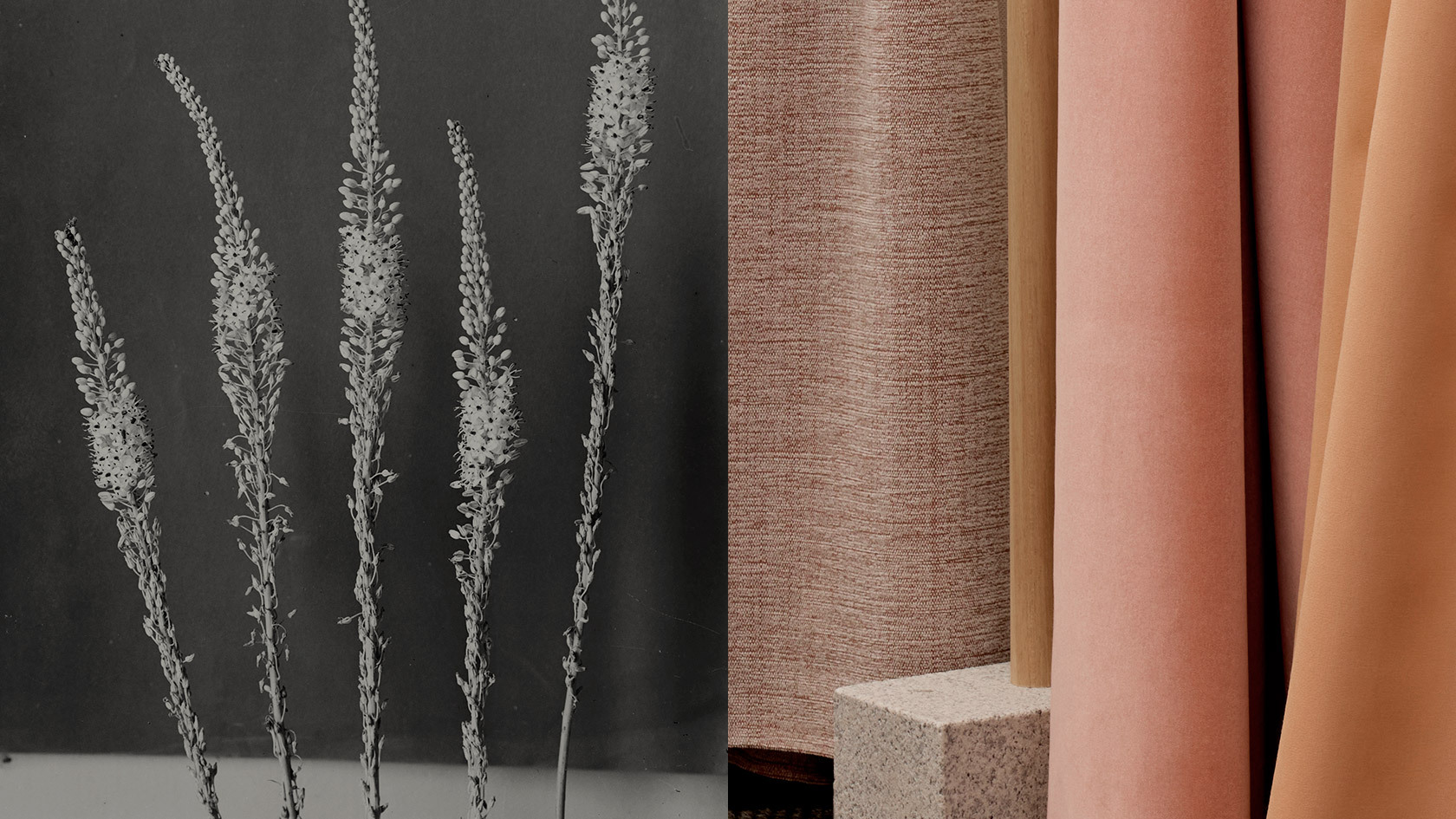 Mariaflora Collection