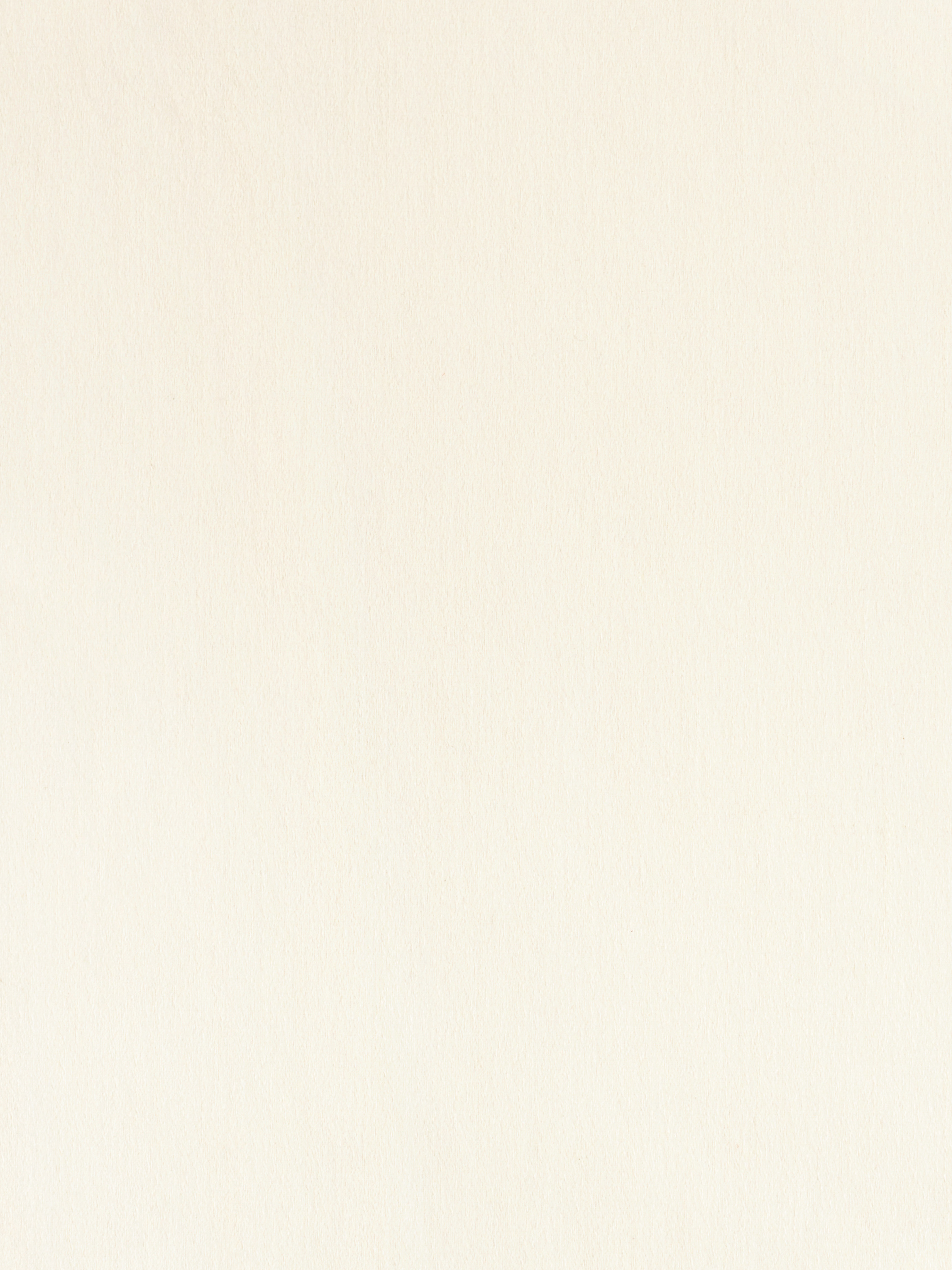 102|Ivory