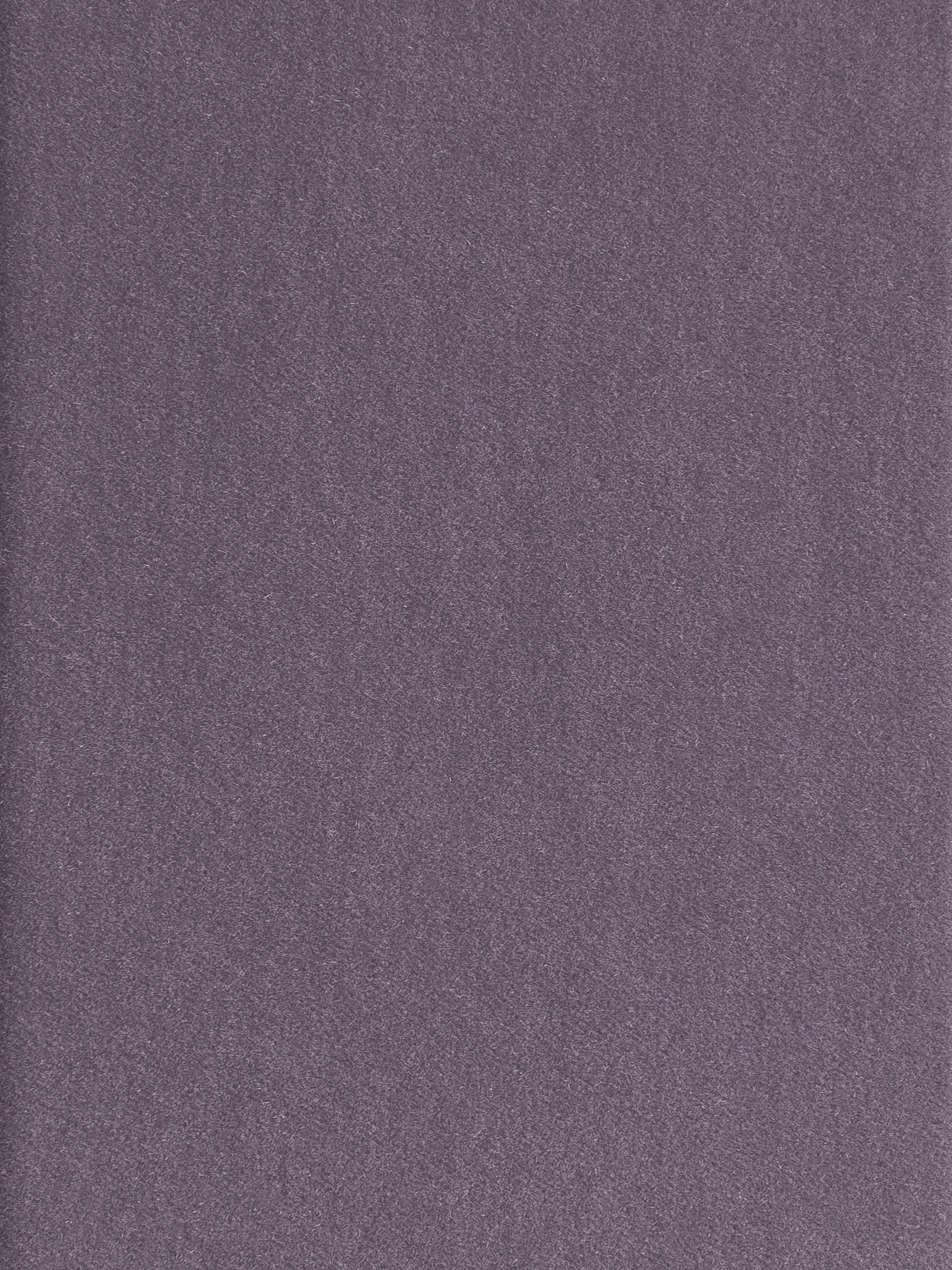 015|Purple