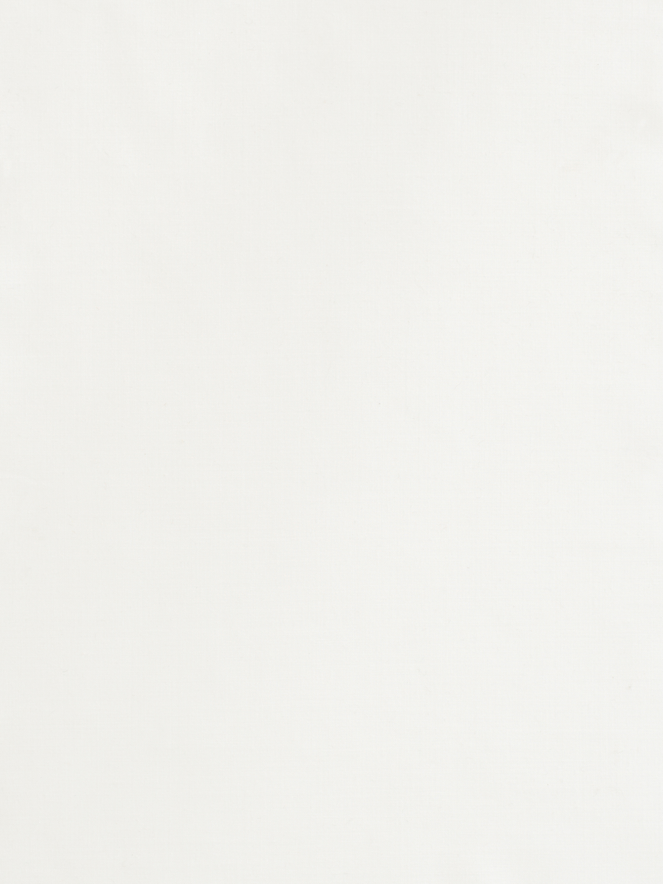 002|Ivory