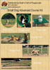 BarkPark™ Small Dog Park Advanced Course 