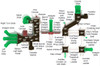 Buffalo Creek Max Structure - Top View with Labels