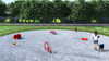 Bronze Dog Park Agility Package - Red