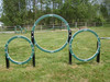 Husky Triple Hoop in green (Also available in red)