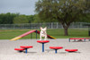 Dog-On-It Parks Agility Walk - Set of 5 (Red/Blue Color Scheme)