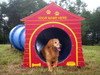 Bow Wow Barrel with Doghouse comes in custom color options