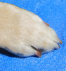 Highly textured material for a lifetime of slip resistance