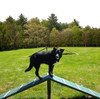 Dog-On-It Parks Corgi Dog Park Climber