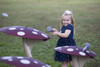 Red Mushroom Instrument