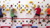 Everlast Climbing Adaptive Climbing Walls