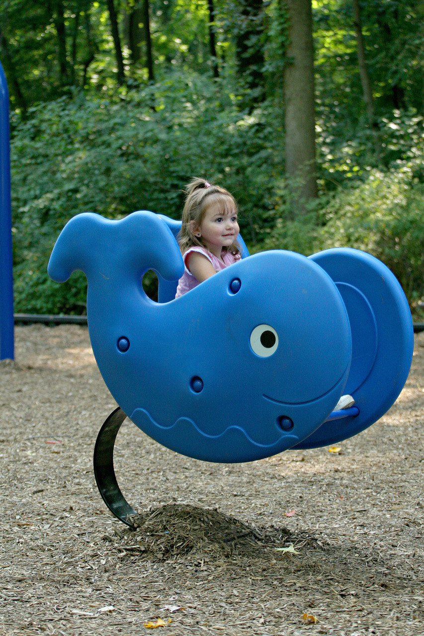 Little Tikes Whale Spring Rider | NoahsPlay.com