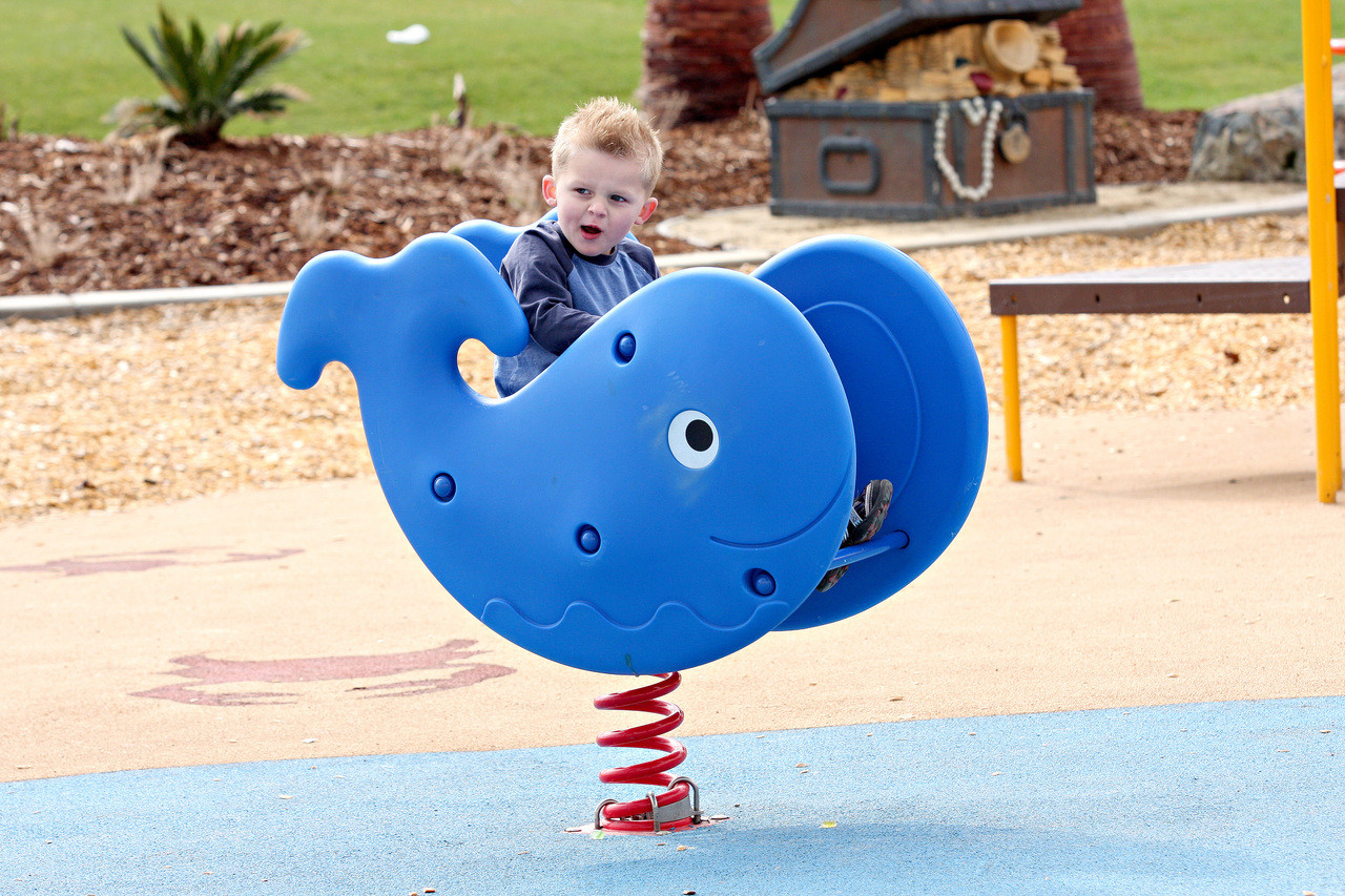 Little Tikes Whale Spring Rider | NoahsPlay.com