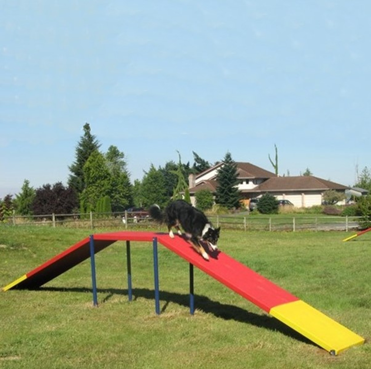 dog playscape (3 ramp) outdoor dog fun. In your colors