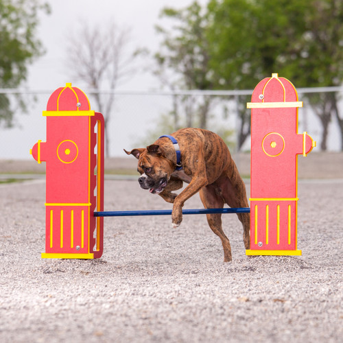 Dog Park Equipment Jump Dog™ Wrestle & Rumble Play Mats