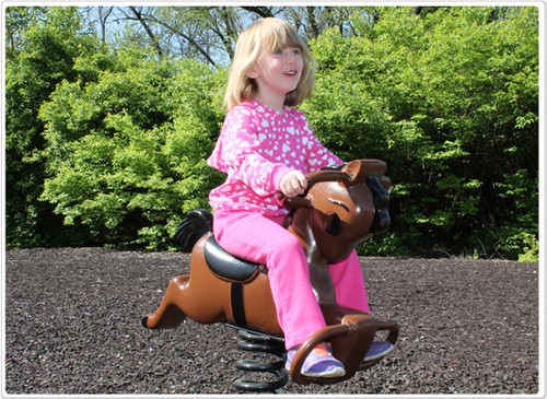 Derby Spring Rider