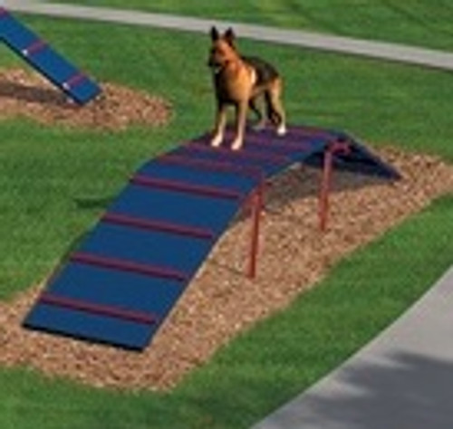 Expert Bark Park Obstacle Course