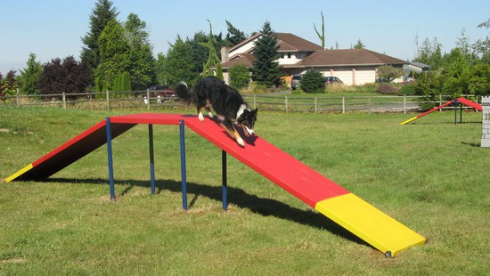 Gold Dog Park Agility Systems Www Noahsplay Com