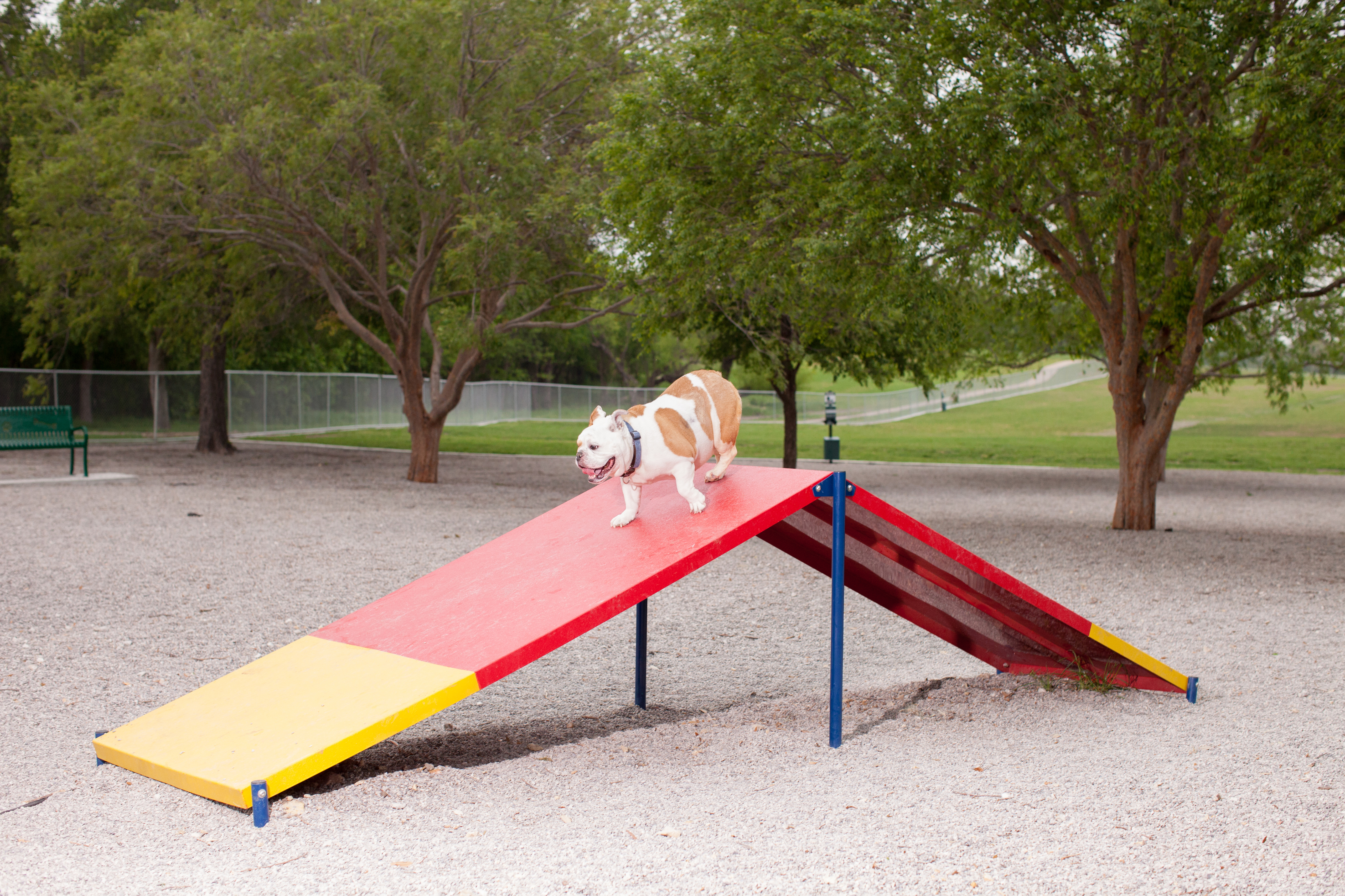 Dog Park A Frame Www Noahsplay Com