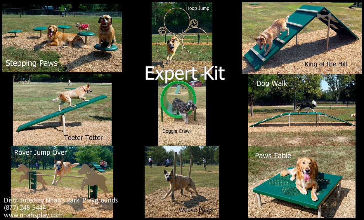 Expert Bark Park Obstacle Course