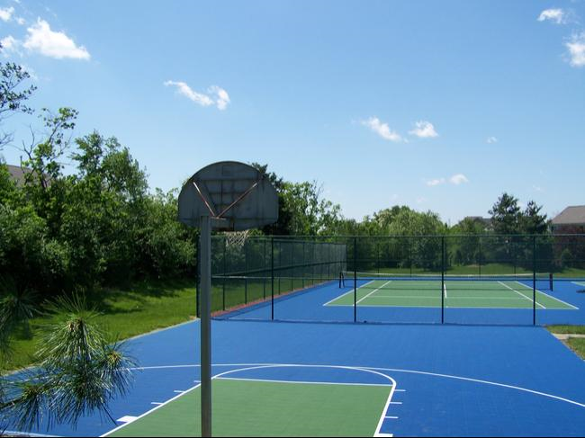 Customized Sport Courts For Your Gym School And Parks Www