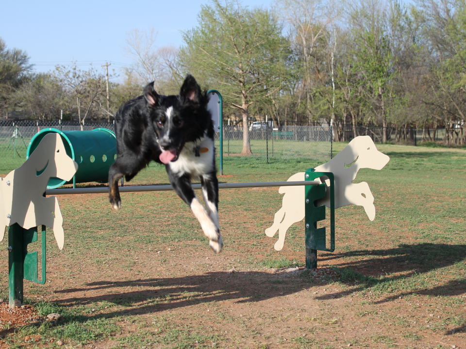 Neighborhood Playground
