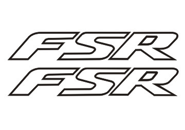 FSR outline - DNFIVE