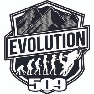 509 Sticker - Evolution (8")