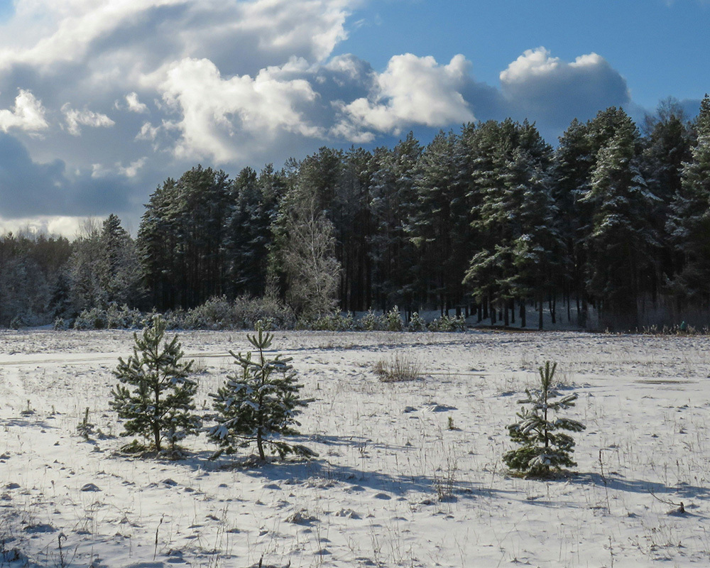 Beyond Winter: The Hidden Dangers of Spring Avalanches article
