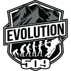 509 Sticker 10 Packs - Evolution (8")